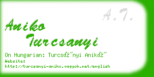 aniko turcsanyi business card